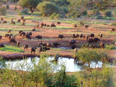 Tsavo East National Park