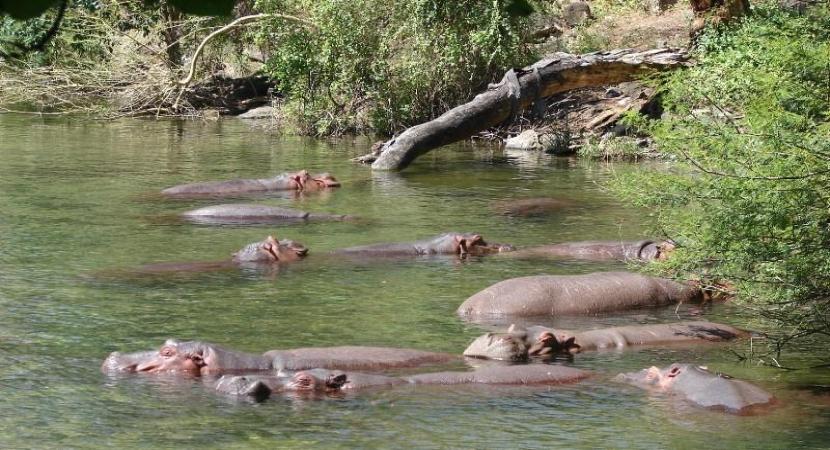 4D Ngorongoro, Manyara, Tsavo West