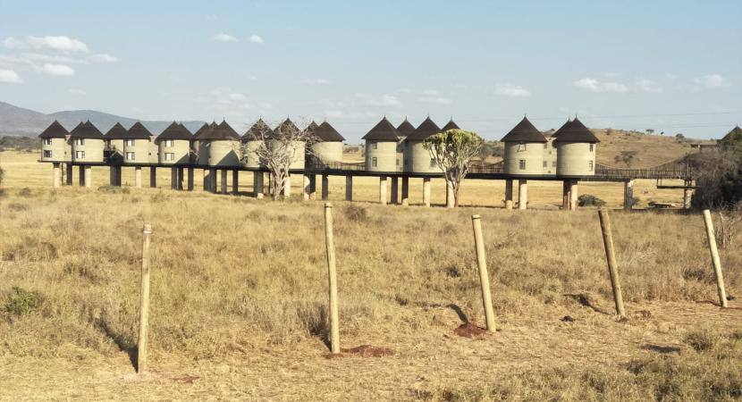 2D Ngutuni & Taita Salt Lick